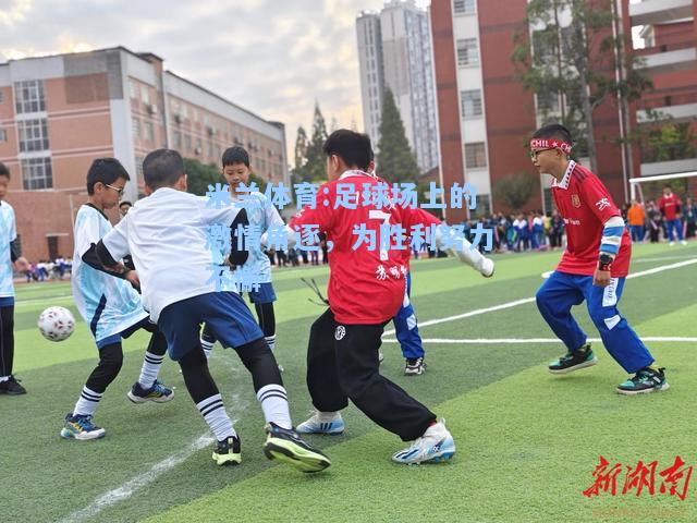 足球场上的激情角逐，为胜利努力不懈