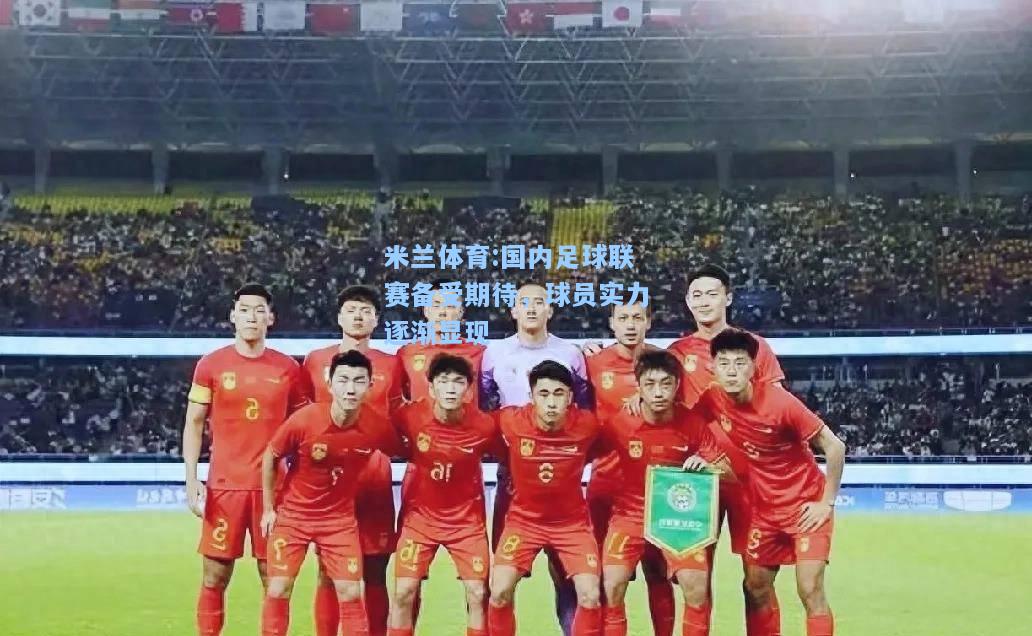 国内足球联赛备受期待，球员实力逐渐显现