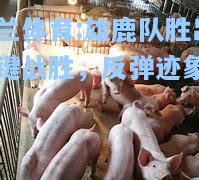 雄鹿队胜出关键战胜，反弹迹象明显