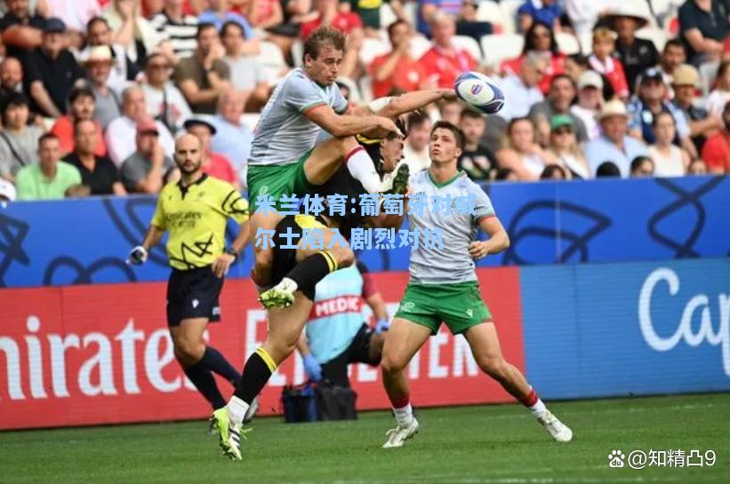 米兰体育:葡萄牙对威尔士陷入剧烈对抗